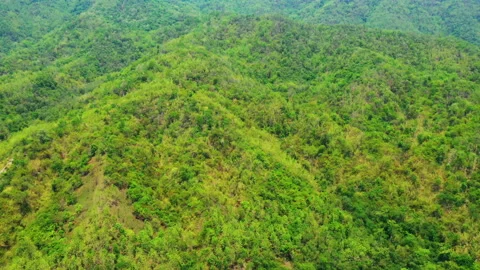 Aerial view of moving forward above forest and mountain valley. Tilt up. Stock Footage 171873388