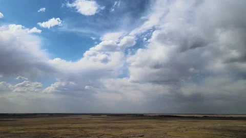 Aerial view moving forward above a dry grassland with distant trees.  Stock Footage 275834022