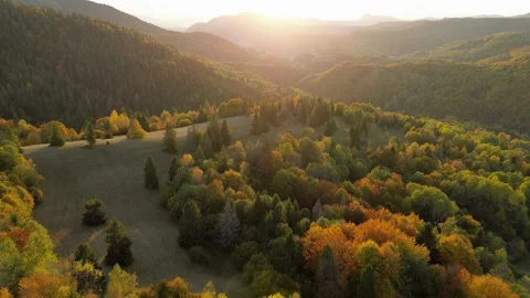 Aerial view moving forward above colorful autumn forest and mountain valley in 스톡 동영상 319892636