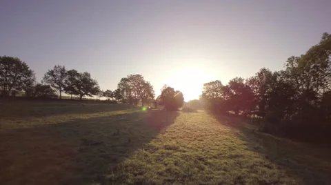 Aerial view moving forward over green fields Stock Footage 64479891