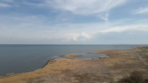 Aerial view moving forward over a marsh next to a large lake with white clouds i Stock Footage 292690911