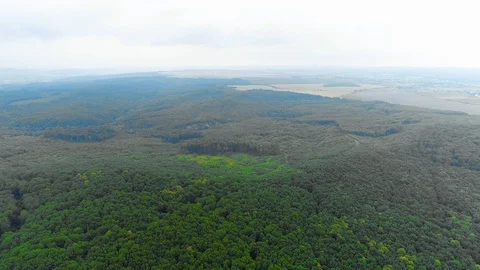 Aerial view of moving forward to woods forest and mountain valley with mist high Stock Footage 109928880