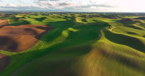Aerial View Moving over the Rolling Hills Farmland Palouse Region Washington Stock Footage 194514600
