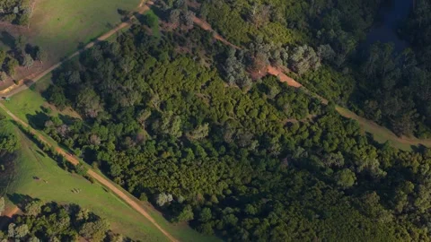 Aerial view moving shadow over green hills and forest Stockbeeldmateriaal 334776468