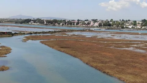 Aerial view of moving train on a water field Stock Footage 226373405