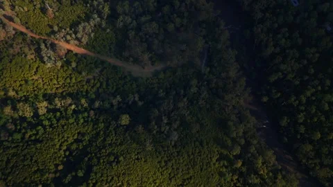 Aerial View of Mt Lofty Forest Trails at Dusk, Melbourne Region, Australia Stock Footage 335413133
