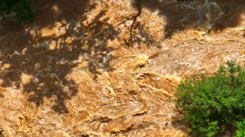 Aerial view of muddy flash flood water flowing beneath tree shadows. Stock Footage 341906908