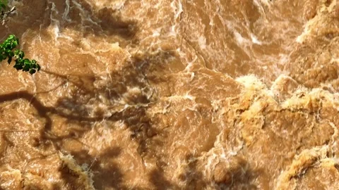 Aerial view of muddy flash flood water flowing beneath tree shadows. Stock Footage 341906910