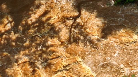 Aerial view of muddy flash flood water flowing beneath tree shadows. Stock Footage 341906915
