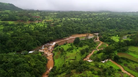 Aerial View of a Muddy Monsoon River Flowing Through the Lush Green Landscape Stock Footage 342701807