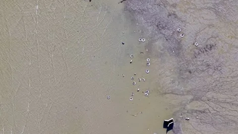 Aerial view of a muddy water surface with scattered floating objects and debris Vidéo 341384682