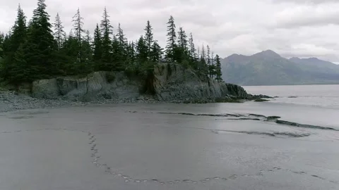 Aerial view of mudflats at low tide on Turnagain Arm near Hope, Alaska. 動画素材 153376359
