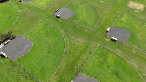 Aerial view of multiple baseball and softball diamonds in Melbourne Australia Stock Footage 345407044