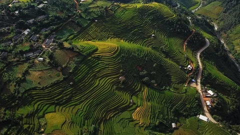 Aerial view of Mung Cang Chai Rice Terra... | Stock Video | Pond5