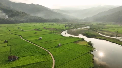 Aerial view of Munjungan Rice Fields in East Java, Indonesia. 库存影片 346654730