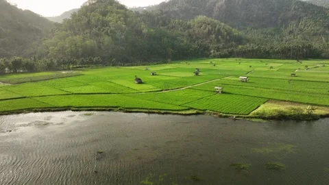 Aerial view of Munjungan Rice Fields in East Java, Indonesia. 库存影片 346654791