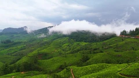 Aerial View of Munnar Crop Fields Covered in Clouds Видео 341311587