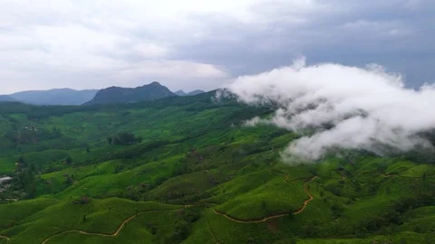 Aerial View of Munnar Crop Fields Covered in Clouds Видео 341311602