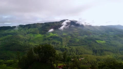 Aerial View of Munnar Forest Covered in Clouds Stock Footage 341311387