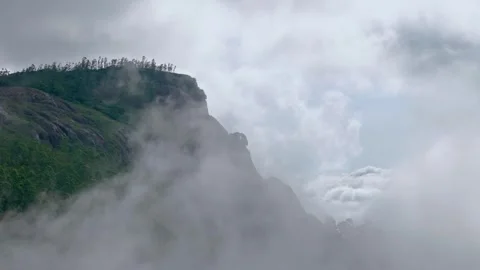 Aerial View of Munnar Forest Covered in Clouds Stock Footage 341311398