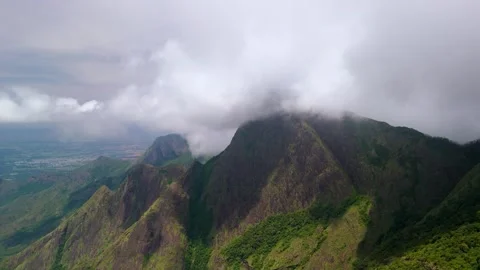 Aerial View of Munnar Forest Covered in Clouds Stock Footage 341311424