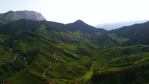 Aerial View of Munnar Showcasing Winding Roads, Lush Tea Plantations Видео 341311528