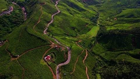 Aerial View of Munnar Showcasing Winding Roads, Lush Tea Plantations Видео 341311555