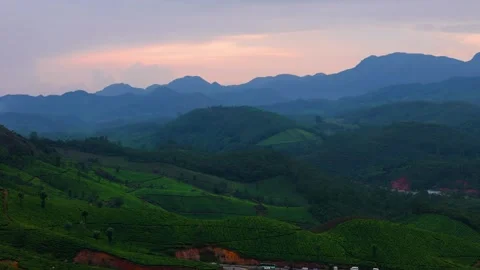 Aerial View of Munnar at Sunset Showcasing Winding Roads, Lush Tea Plantations Видео 341311569