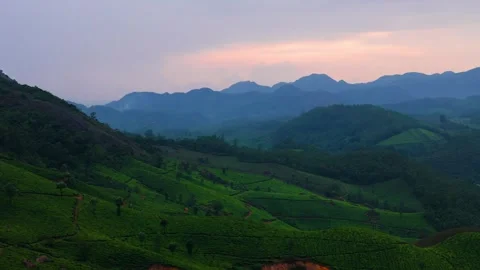 Aerial View of Munnar at Sunset Showcasing Winding Roads, Lush Tea Plantations Видео 341311606