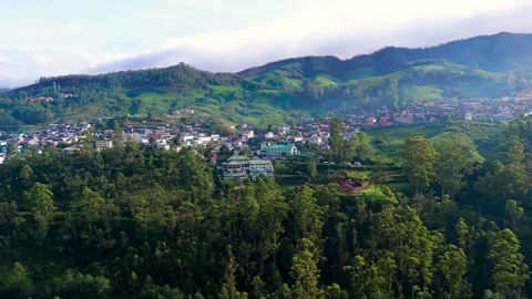 Aerial View of Munnar Town Surrounded by Lush Tea Plantations Stock Footage 341310419