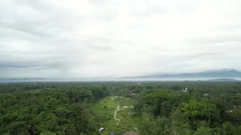 Aerial view of Murky River surrounded by Dense natural forest Vídeos de archivo 290887338