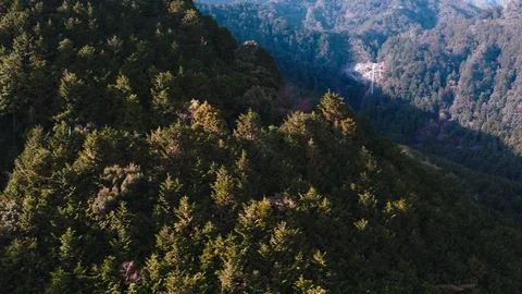Aerial View of Nachi Falls Stock Footage 101036572