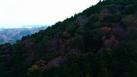 Aerial View at Nachi Falls Stock Footage 101036769