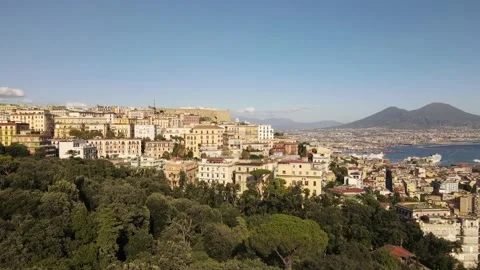 AERIAL VIEW AT NAPLES SKYLINE Stock Footage 142645202