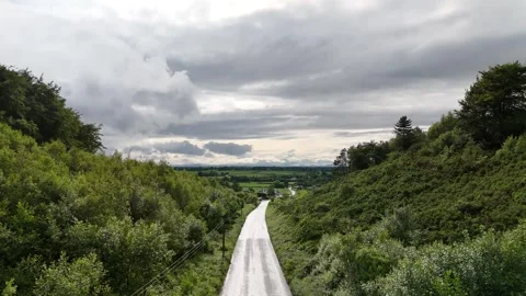 Aerial View of Narrow Path Through Green Vegetation in 4K Vídeo Stock 333336635