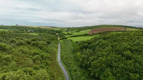 Aerial View of Narrow Road Through Green Landscape in 4K Vidéo 333336361