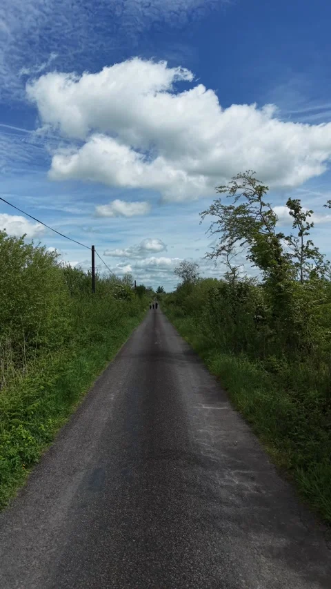 Aerial View of Narrow Road Through Green Countryside Vidéo 335621822