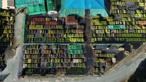 Aerial view of native plants nursery, New Zealand. Stock Footage 312775218