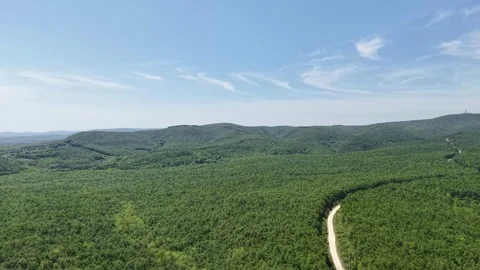 Aerial view of the nature Stock Footage 308873857