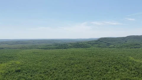 Aerial view of the nature Stock Footage 308873858