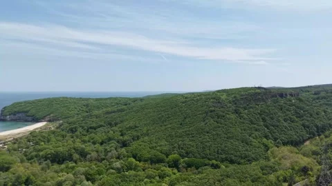 Aerial view of the nature Video stock 308873874