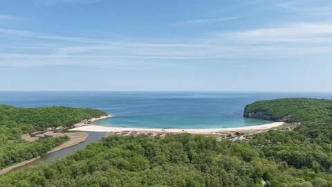 Aerial view of the nature Stock Footage 308873879