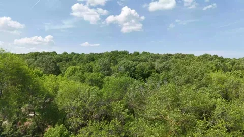 Aerial view of the nature Stock Footage 308873934