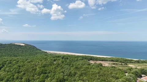 Aerial view of the nature Stock-Footage 308873968