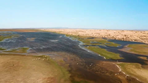 Aerial view of the nature of Mongolia. Stock Footage 296818690