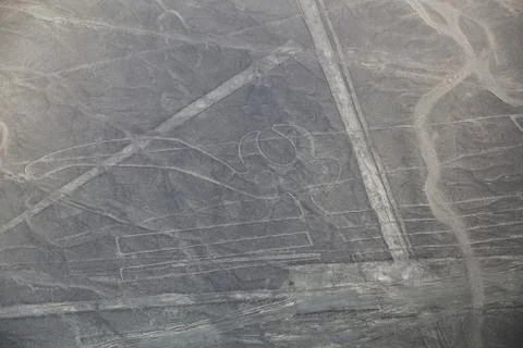 Aerial view of Nazca Lines - Parrot geoglyph, Peru. Foto stock