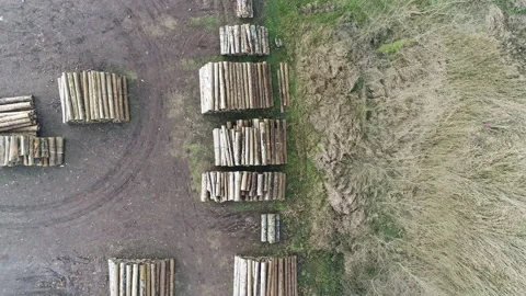 Aerial view of neatly stacked tree trunks Stock Footage 145242361