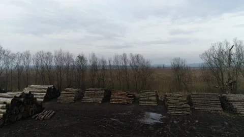 Aerial view of neatly stacked tree trunks Stock Footage 145242753