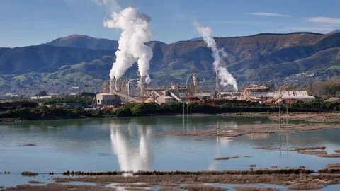 Aerial view of Nelson Pine factory in Richmond, New Zealand. Stock Footage 346683392