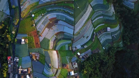 Aerial view of Nepal Van Java, Magelang, Central Java, Indonesia. June 22, 2022 Stock Footage 274506037